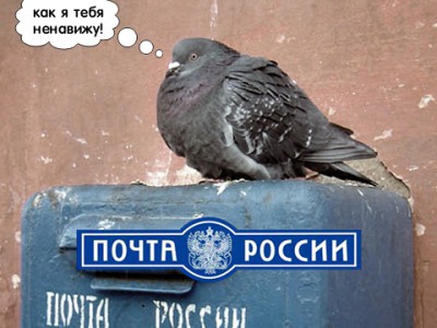 почта голубиная.jpg