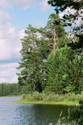 Городно
Василий Катрушенко 
