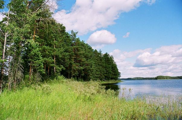 Городно
Василий Катрушенко
