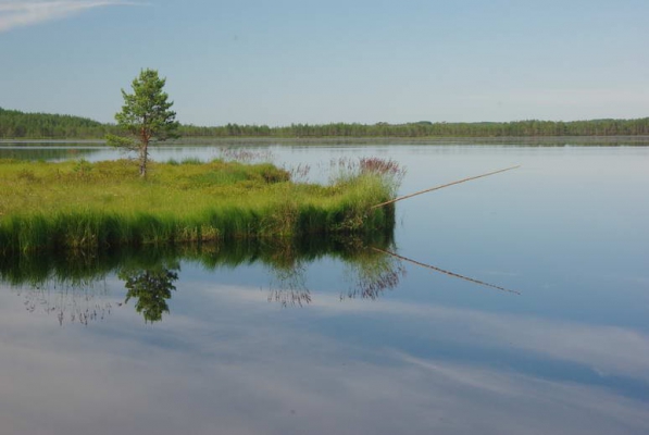 До большого озера иногда добираются рыбаки
Василий Катрушенко
