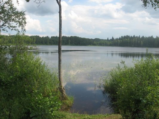 Озеро Хвошно
Автор - Иван Наумов
