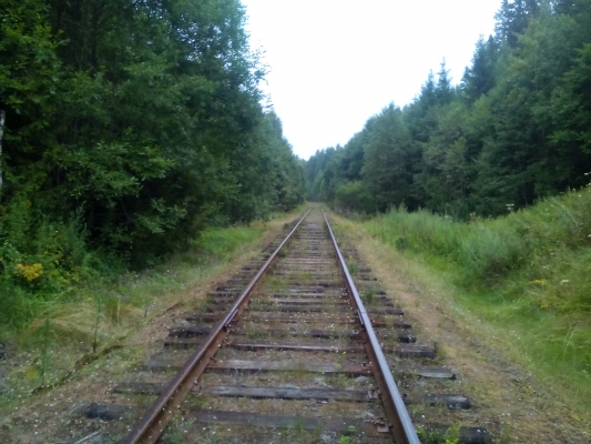 Железная дорога близ моста на автодороге Любытино-Витин-Бор
