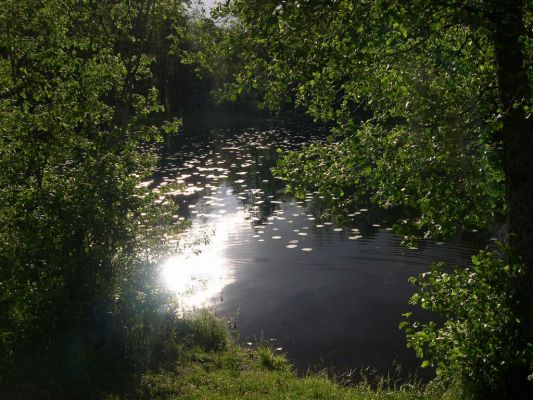 Каменка 
Захаpова Даша 

