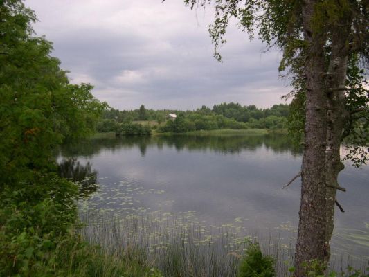 Озеро Каменка 
Захарова Даша 

