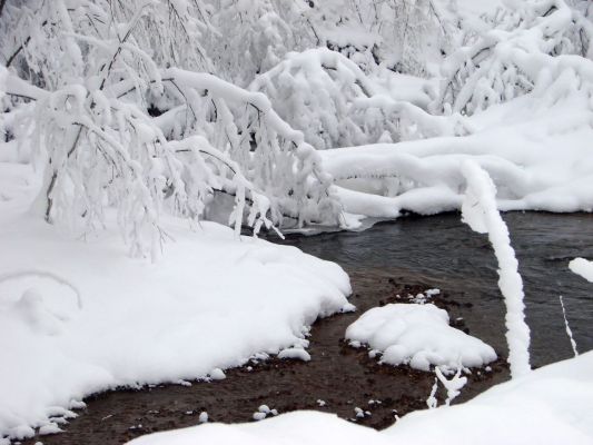 зимняя красота
Лена
