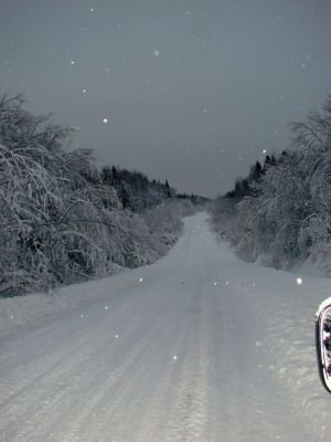 дорога зимой
Лена
