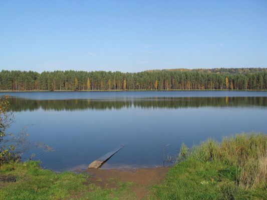 Княжесельское озеро
Лена
