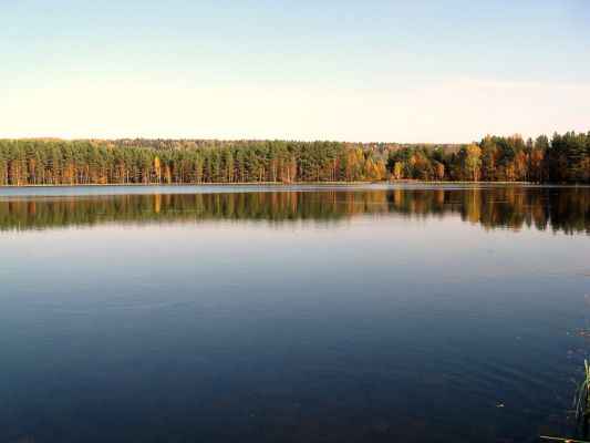 Княжесельское озеро
Лена
