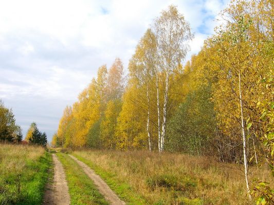 Дорога на Соболиху.
Ключевые слова: Соболиха