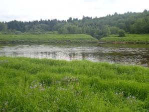 P7140038.JPG