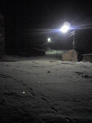 Зимняя ночь
Алёна

