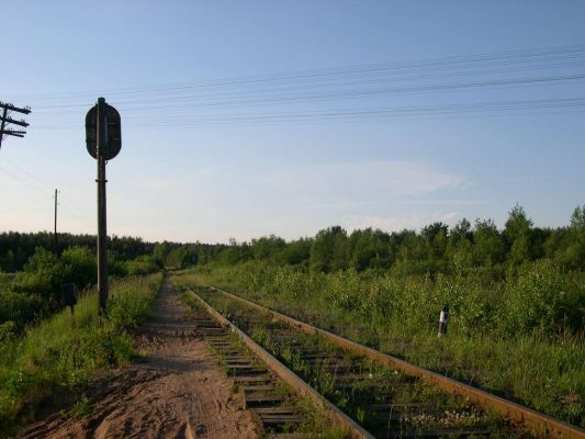 Железная дорога
Захарова Даша
