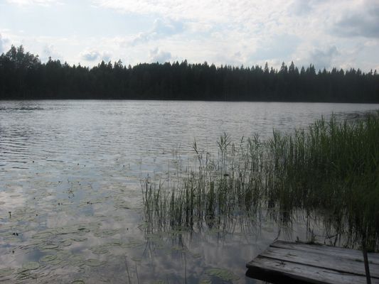Озеро Ушково (близ одноименной деревни)
Автор - Иван Наумов
