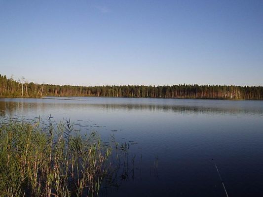 Озеро у деревни Большое Заборовье
Harddrinker
