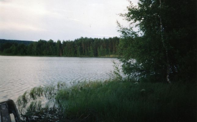 Княжеское озеро
Светлана Михайловна
