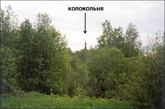 Колокольня над лесом
Григорий Кронин.
