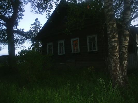 мой дом в деревне Борок
