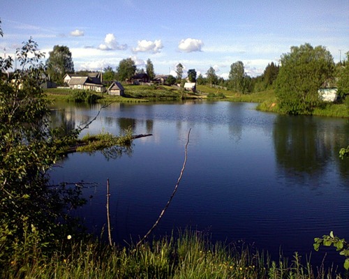 Озерцо в Теребутинце
