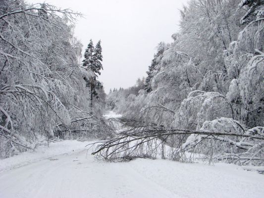 зимний пейзаж
Лена
