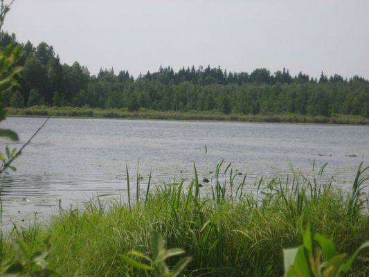 Озеро Хвошно.
Автор Иван Наумов.
