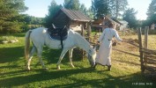 Имя файла=IMG_20260717_191224.jpg
Размер файла=4411КБ
Размеры=4000x2250
Дата=%311 %18, %2026 IMG_20260717_191224.jpg