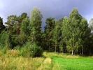 Имя файла=182_.jpg
Размер файла=157КБ
Размеры=1152x864
Дата=%622 %19, %2013 182_.jpg